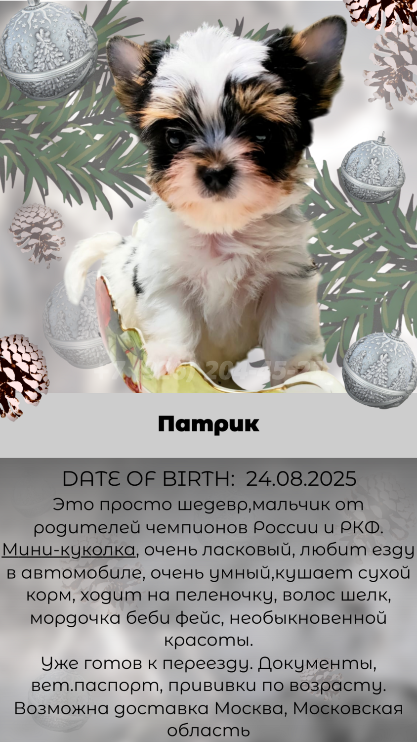 Мини-куколка Патрик