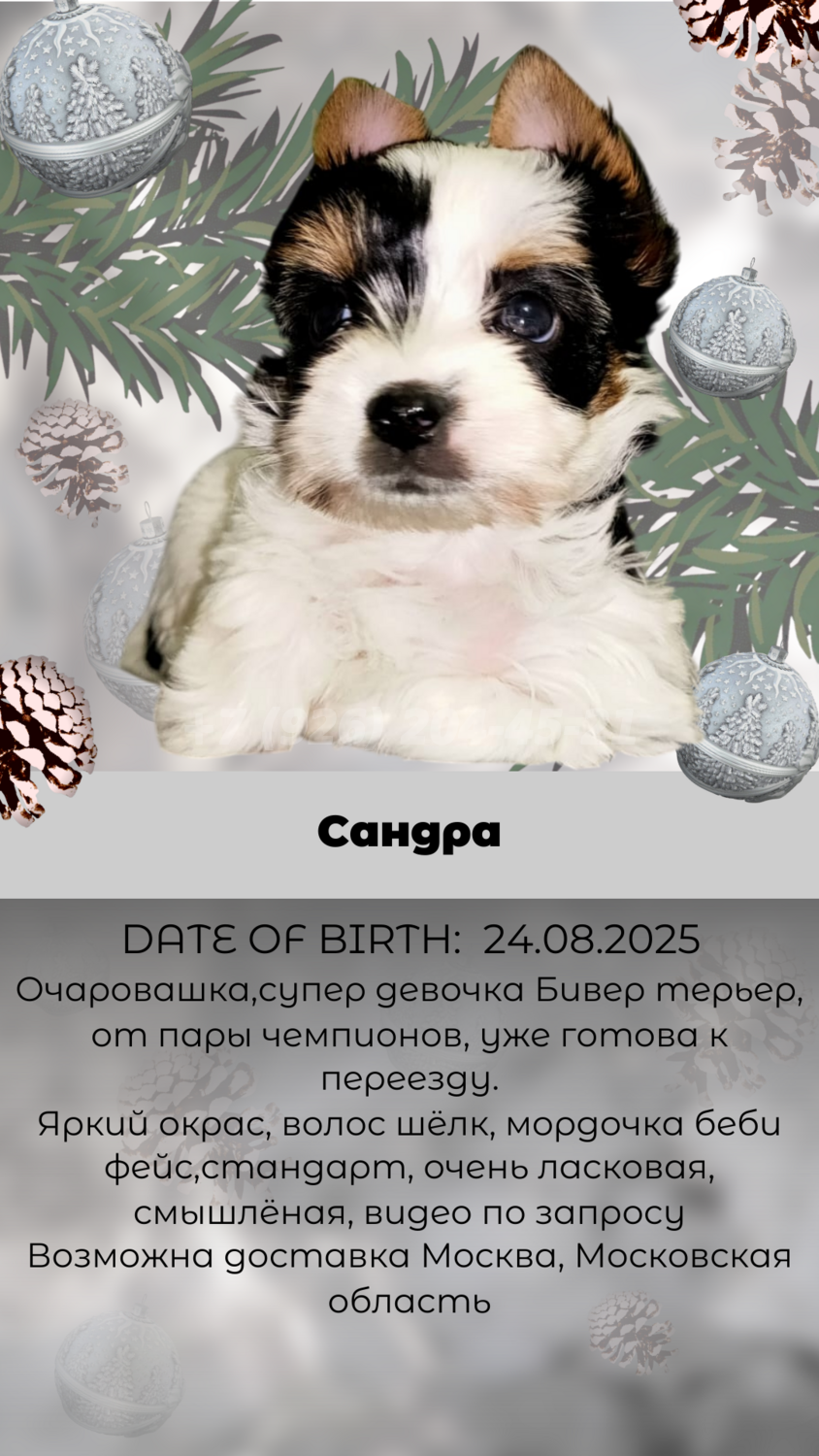 Очаровашка Сандра