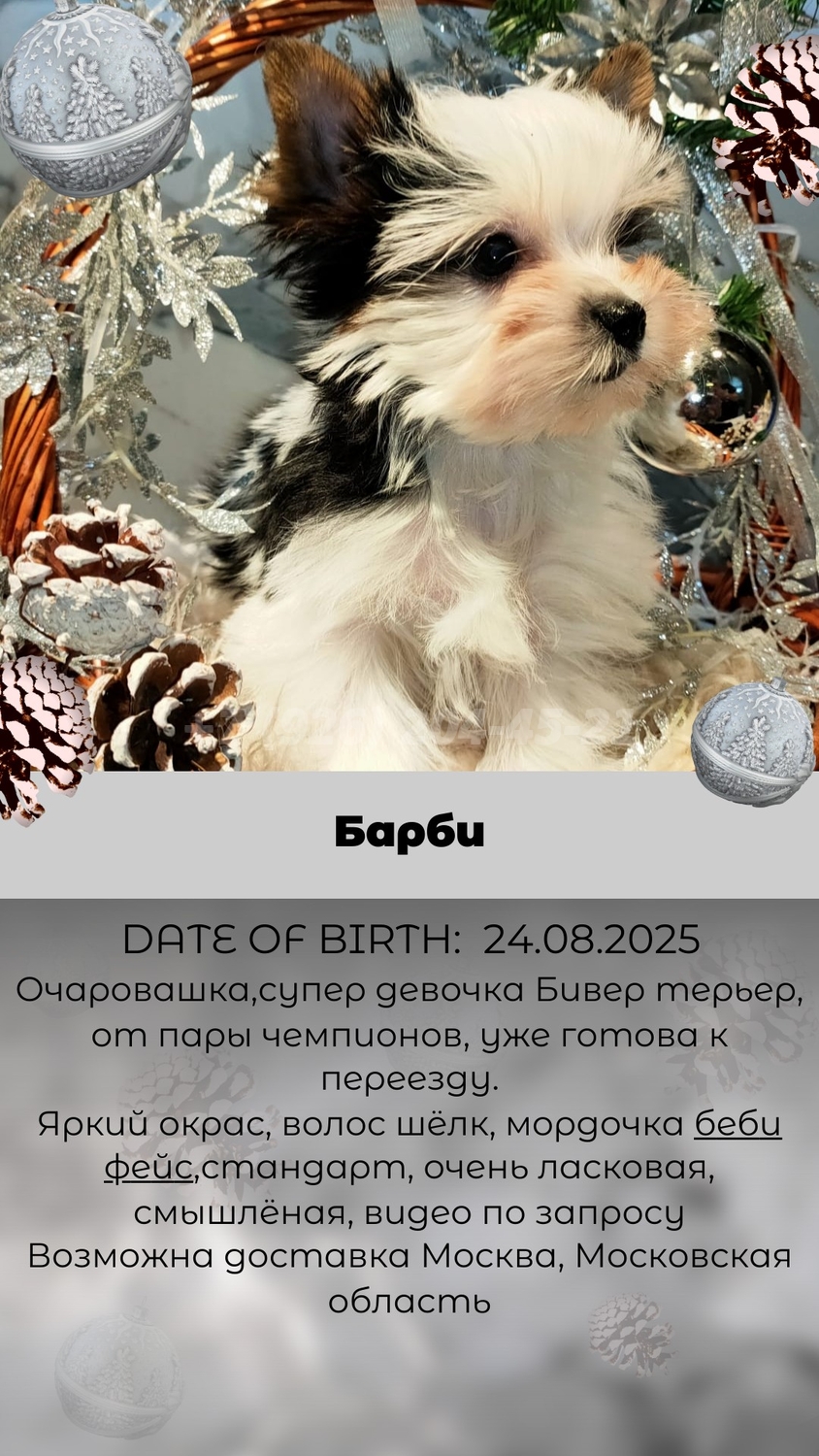 Маленькое счастье Барби